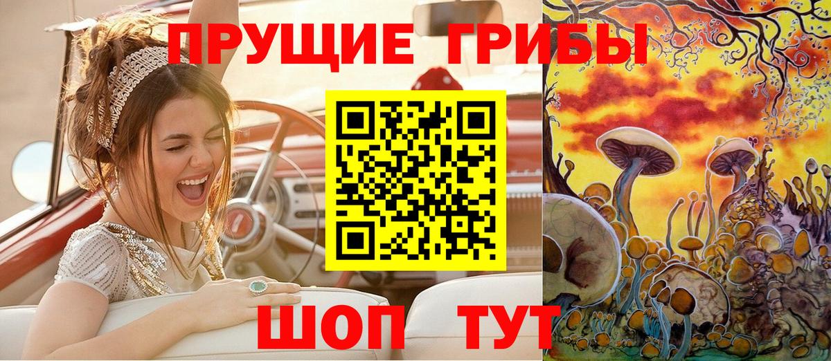 Псилоцибиновые грибы мицелий Чистополь