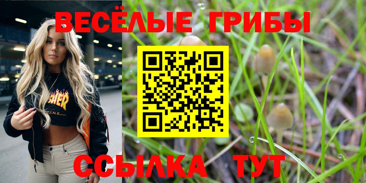 Галлюциногенные грибы ЛСД  Вход с VPN  Чистополь 